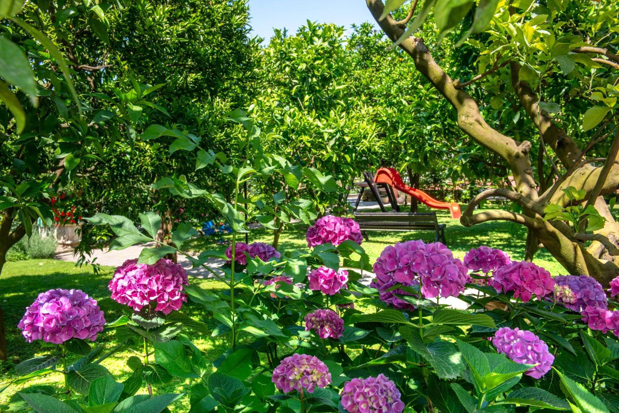 Hilton Sorrento Palace Ngoại thất bức ảnh